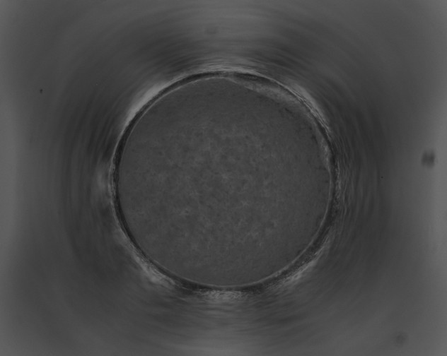 X0000091650893200708301416