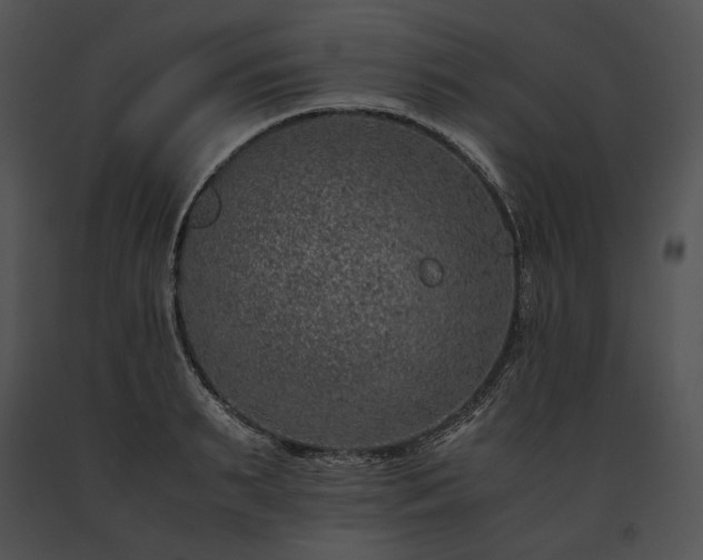 X0000091650895200708301416