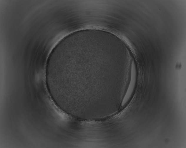 X0000091650896200708301416