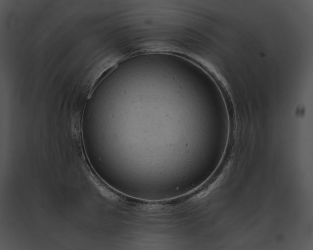 X0000091650897200708301416