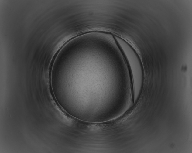 X0000091650898200708301416