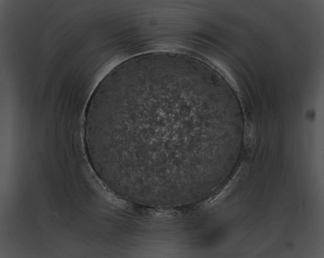 X0000091650899200708301416