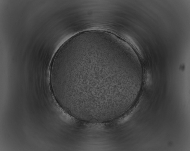X0000091650900200708301416