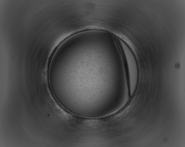 X0000091650902200708301416