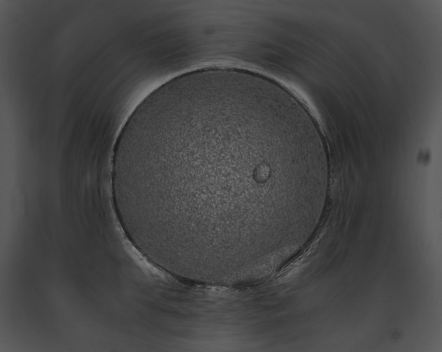X0000091650903200708301416