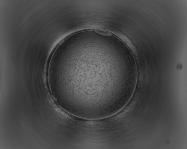X0000091650904200708301416