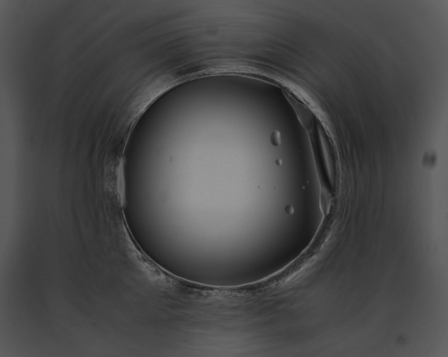 X0000091650905200708301416