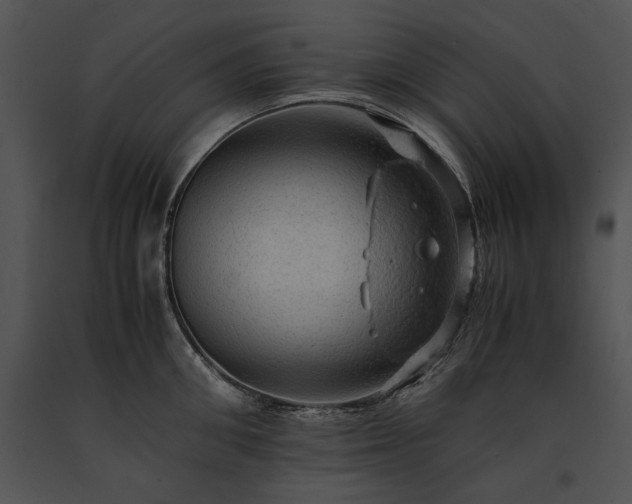 X0000091650906200708301416