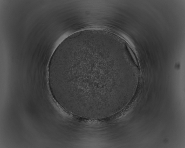 X0000091650907200708301416