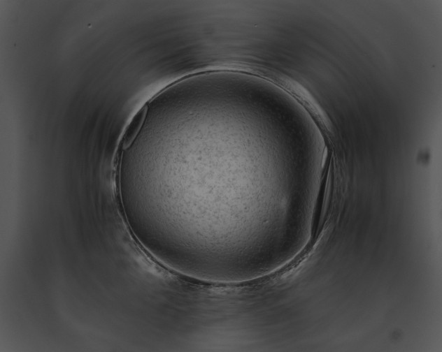 X0000091650908200708301416