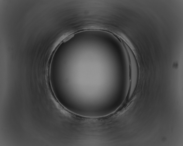 X0000091650909200708301416