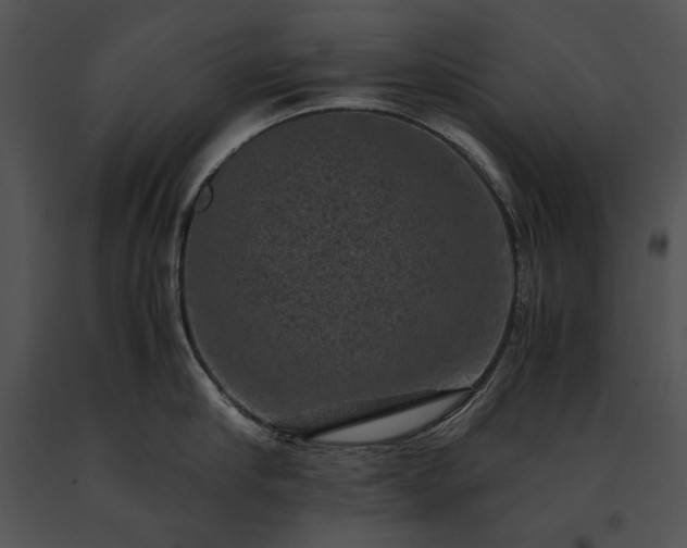 X0000091650910200708301416