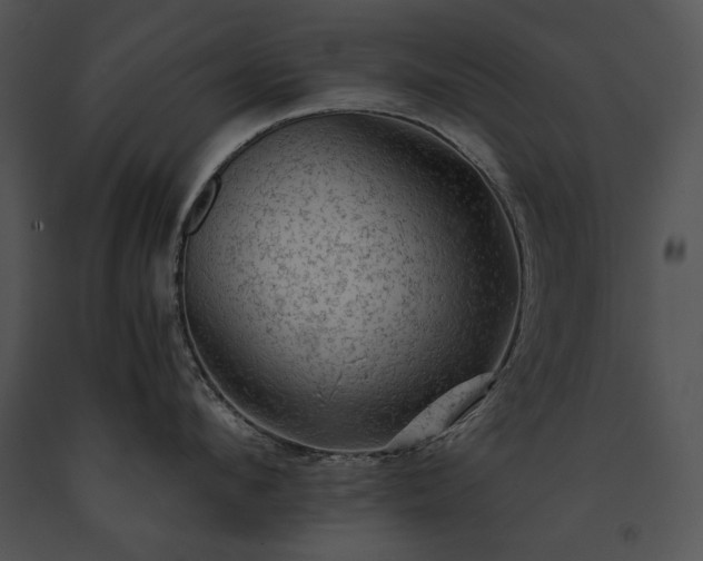 X0000091650912200708301416