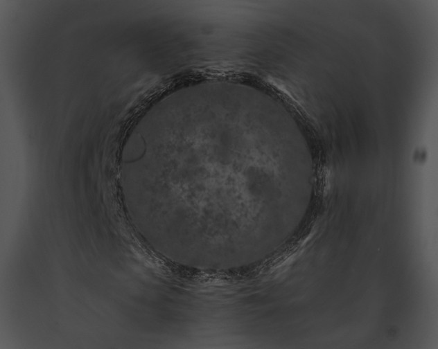 X0000091650913200708301415