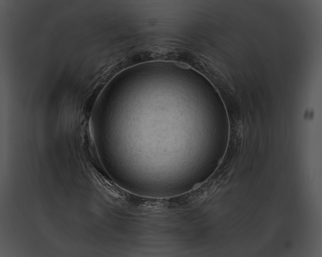 X0000091650914200708301415