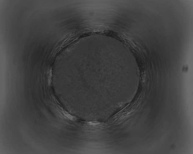X0000091650916200708301415