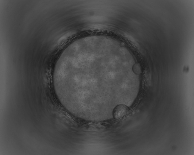 X0000091650918200708301415
