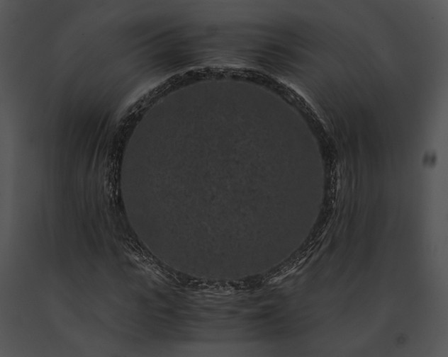 X0000091650919200708301415