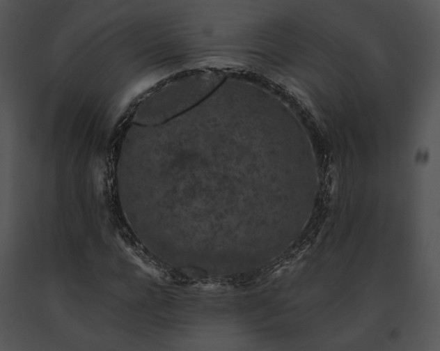 X0000091650920200708301415