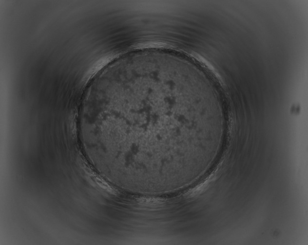 X0000091650921200708301415
