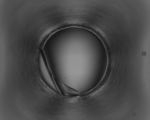 X0000091650922200708301416