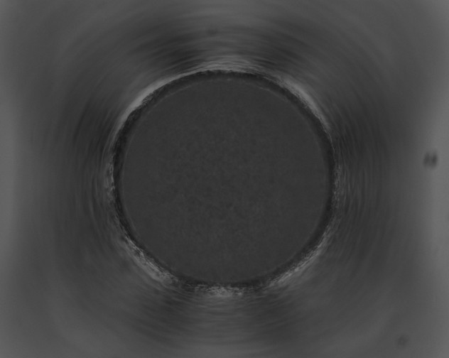 X0000091650923200708301416