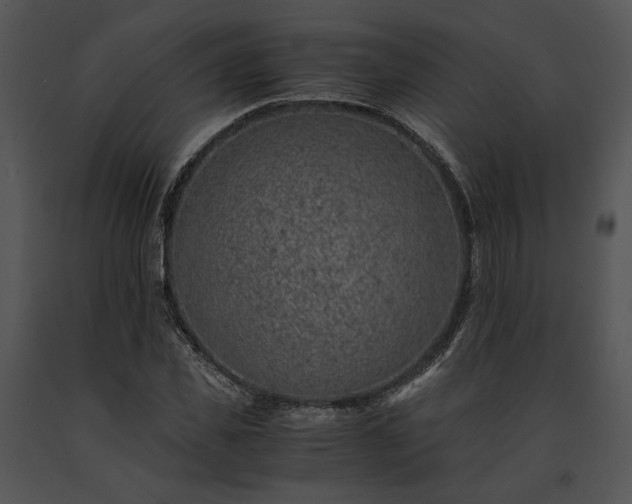 X0000091650925200708301416