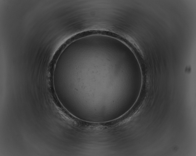 X0000091650926200708301416