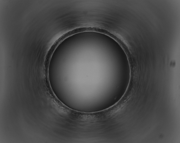 X0000091650927200708301416