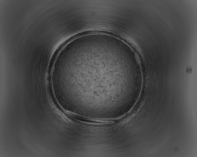 X0000091650928200708301416
