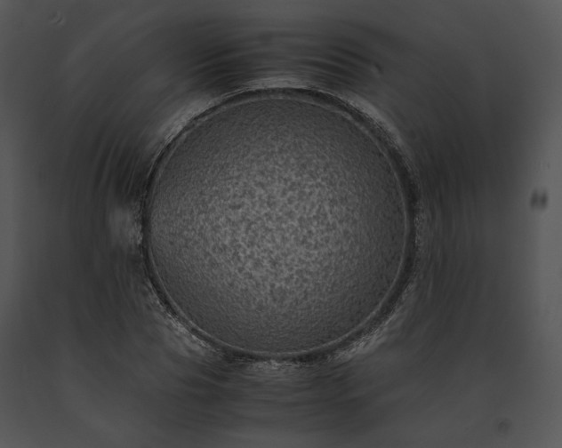X0000091650929200708301416