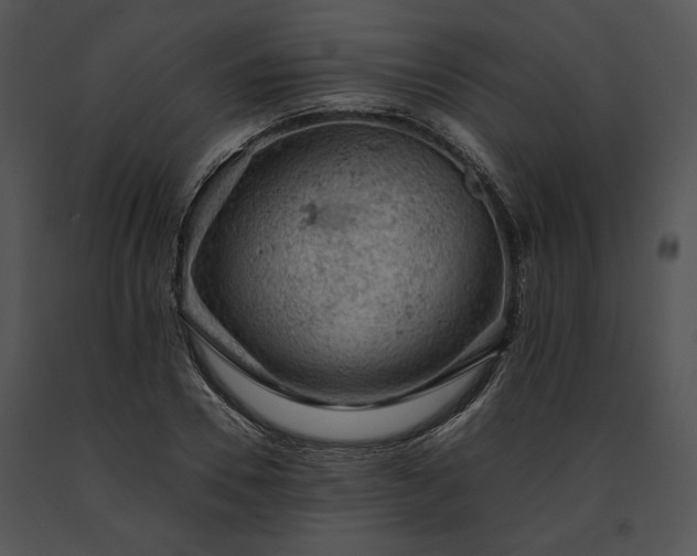 X0000091650930200708301416