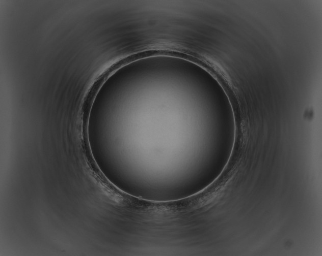 X0000091650931200708301416