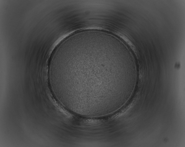 X0000091650933200708301416