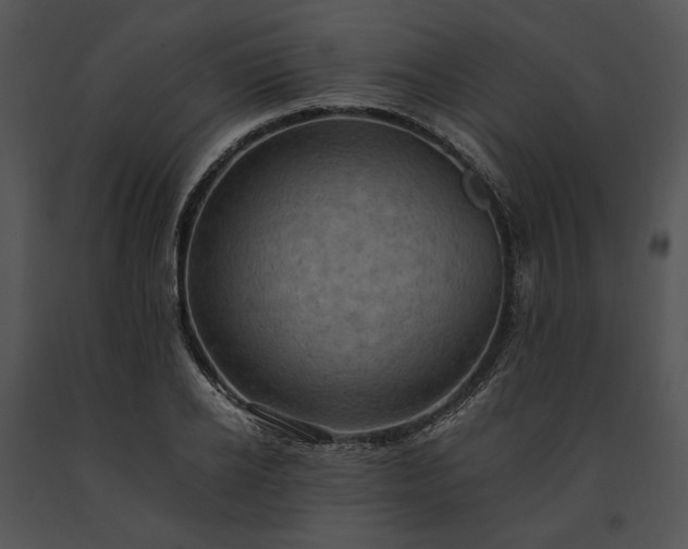 X0000091650934200708301416