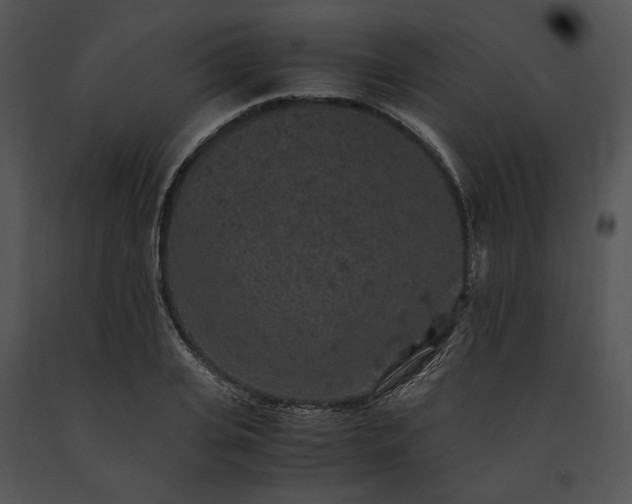 X0000091650935200708301416