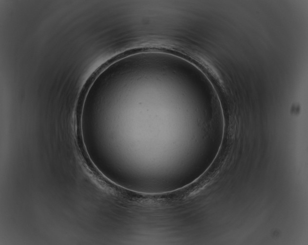X0000091650936200708301416