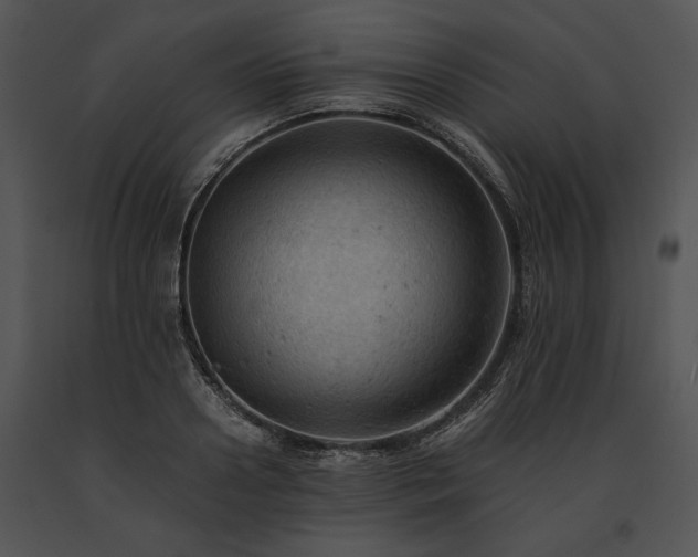 X0000091650938200708301416