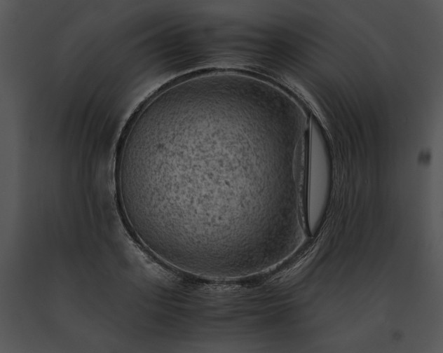 X0000091650939200708301416