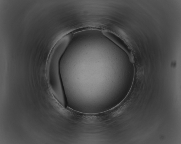 X0000091650940200708301416