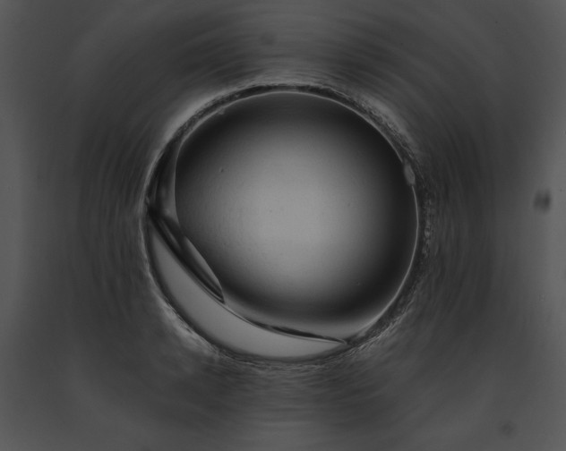 X0000091650942200708301416