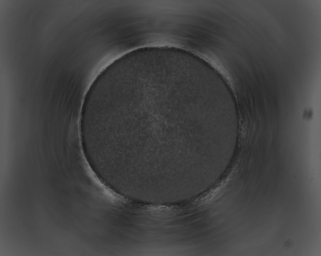 X0000091650943200708301416