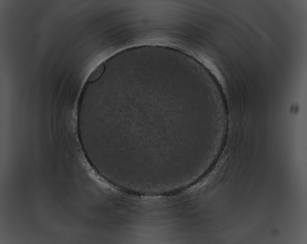 X0000091650944200708301416