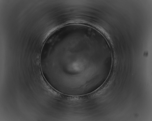 X0000091650945200708301416