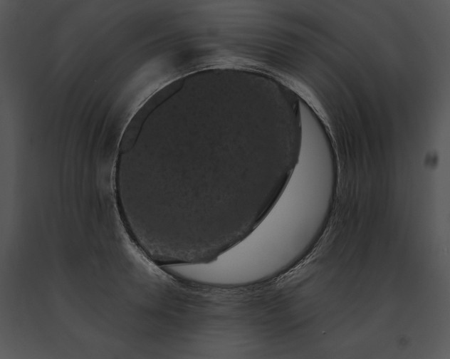 X0000091650946200708301416