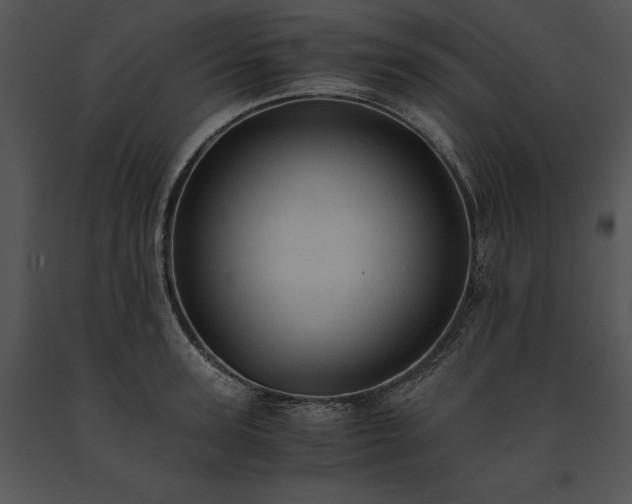 X0000091650947200708301416