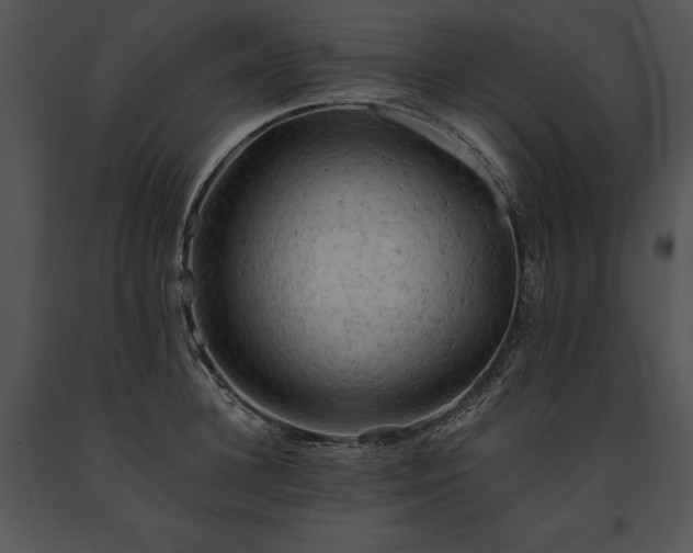 X0000091650948200708301416