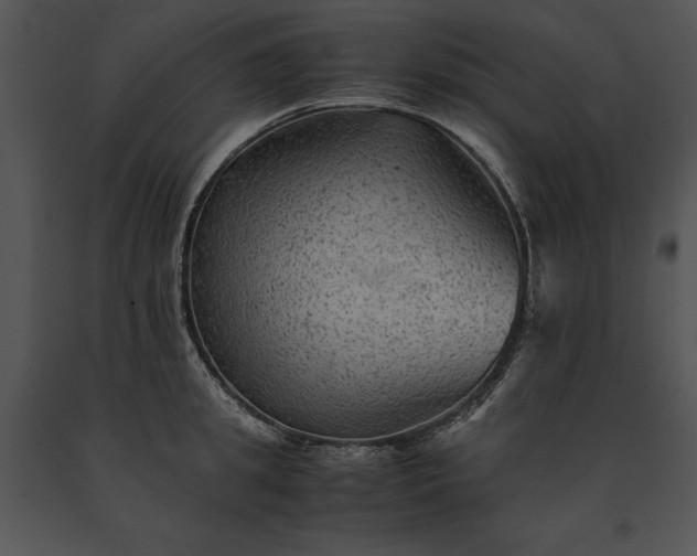 X0000091650949200708301416