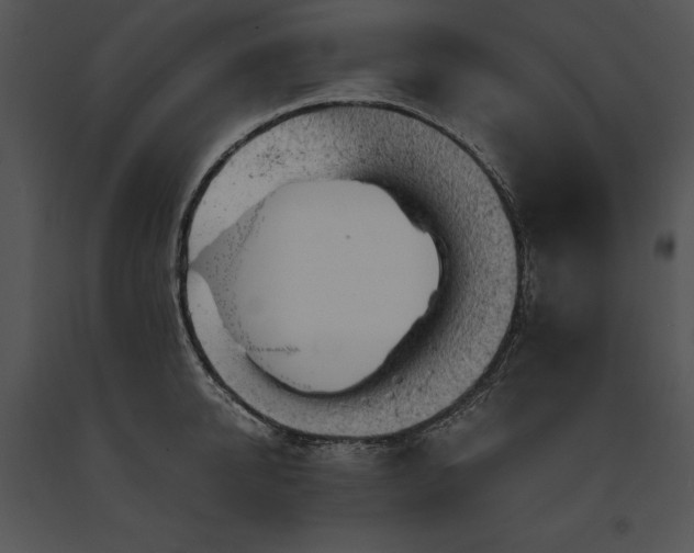 X0000091650950200708301416