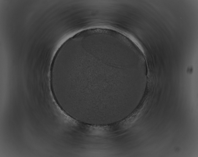 X0000091650951200708301416